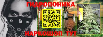 шишки Новозыбков
