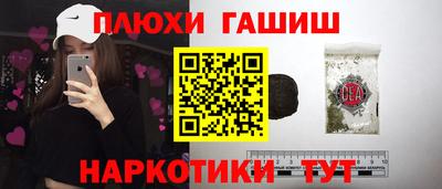 шишки Новозыбков