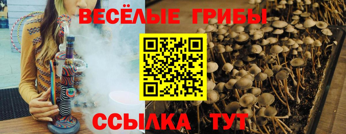 Псилоцибиновые грибы Psilocybine cubensis  Вход с VPN  Тобольск  Галлюциногенные грибы MAGIC MUSHROOMS 